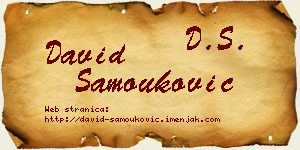 David Samouković vizit kartica
